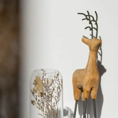 Apartment Anima - Atem, Koerper Und Geist *