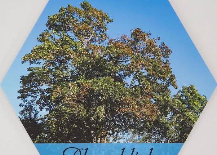 Lägenhet Anima - Atem, Koerper Und Geist Bad Dürrheim